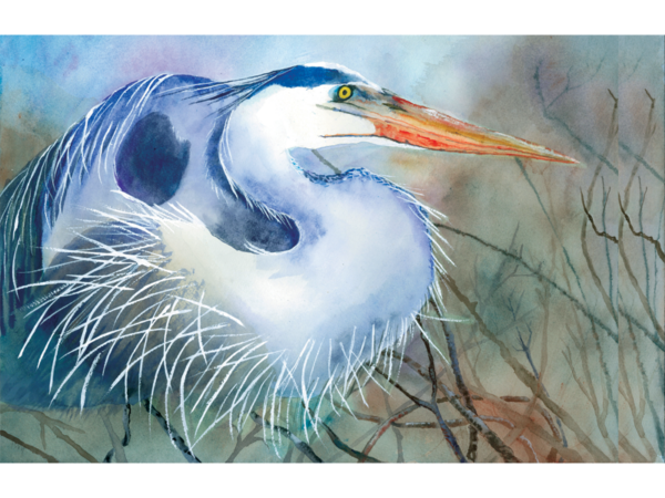 Blue Heron at Repose