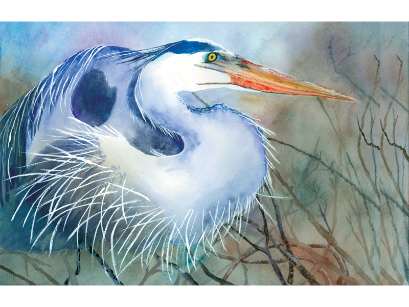 Blue Heron at Repose