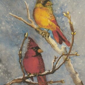 Cardinals in Winter
