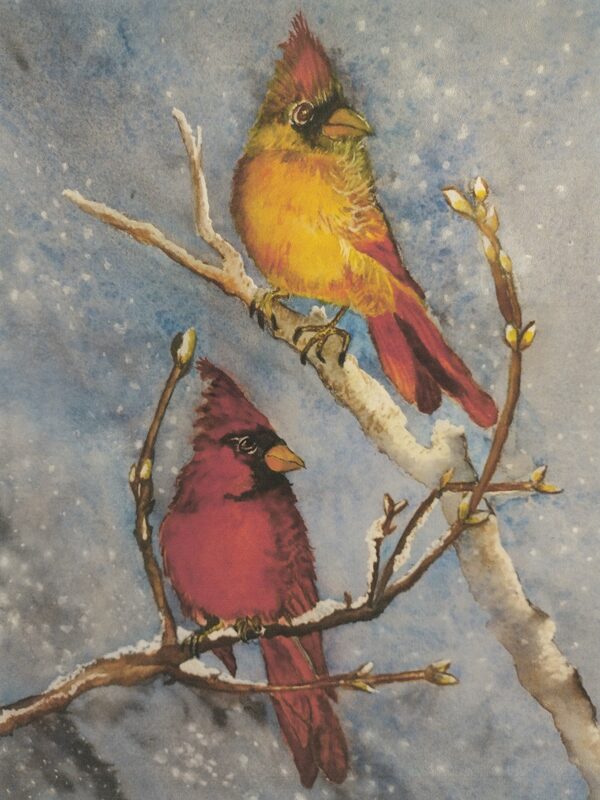 Cardinals in Winter