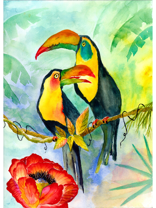 Two Toucans