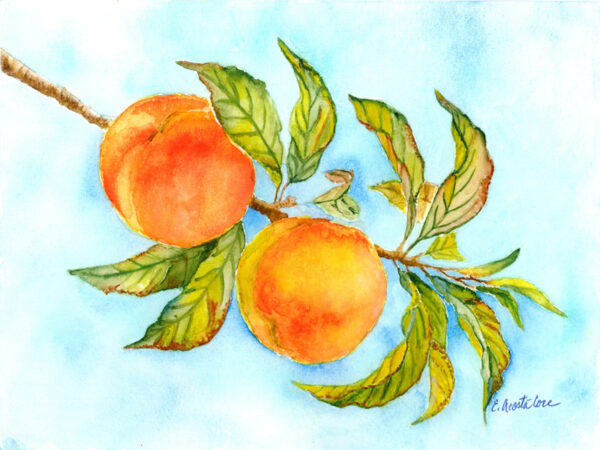 Fredericksburg TX Peaches
