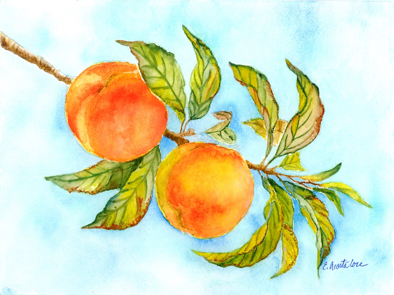 Fredericksburg TX Peaches