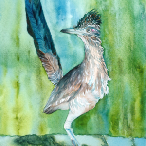 Blue Roadrunner