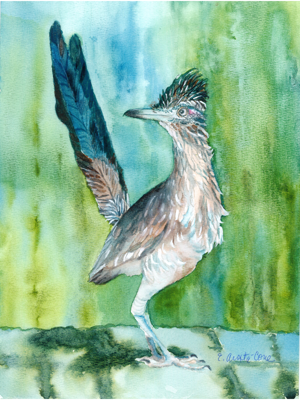 Blue Roadrunner