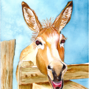 Donkey Laugh