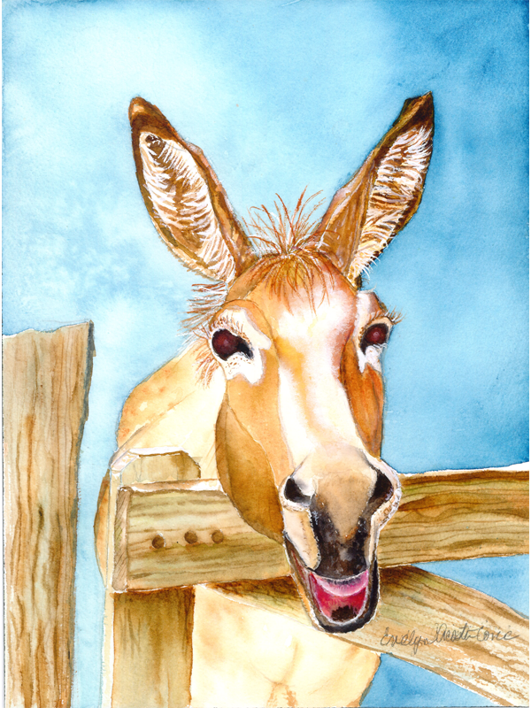 Donkey Laugh