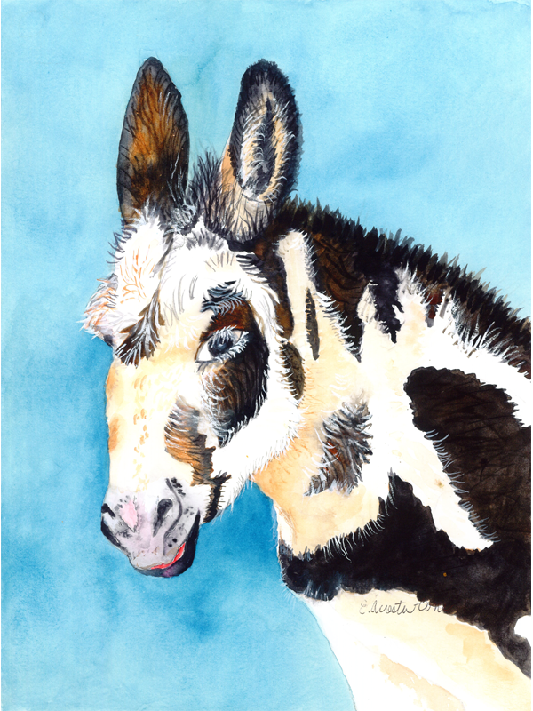 Donkey of a Different Color