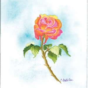 Golden Rose