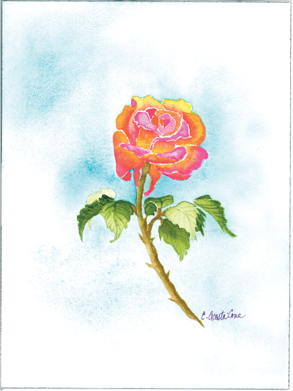 Golden Rose