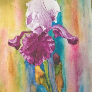 For Iris