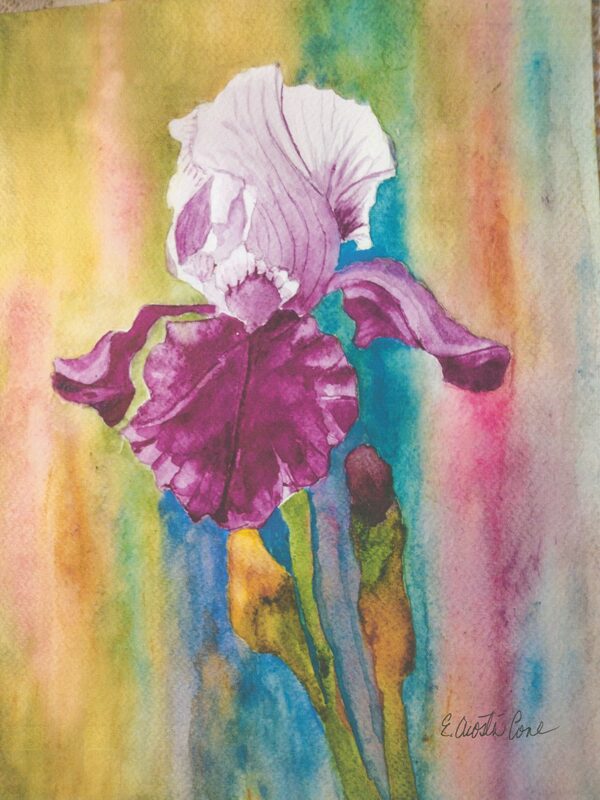 For Iris