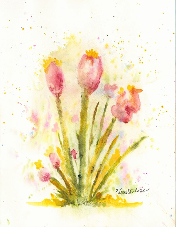 Tulips
