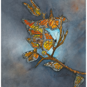 Butterfly Social
