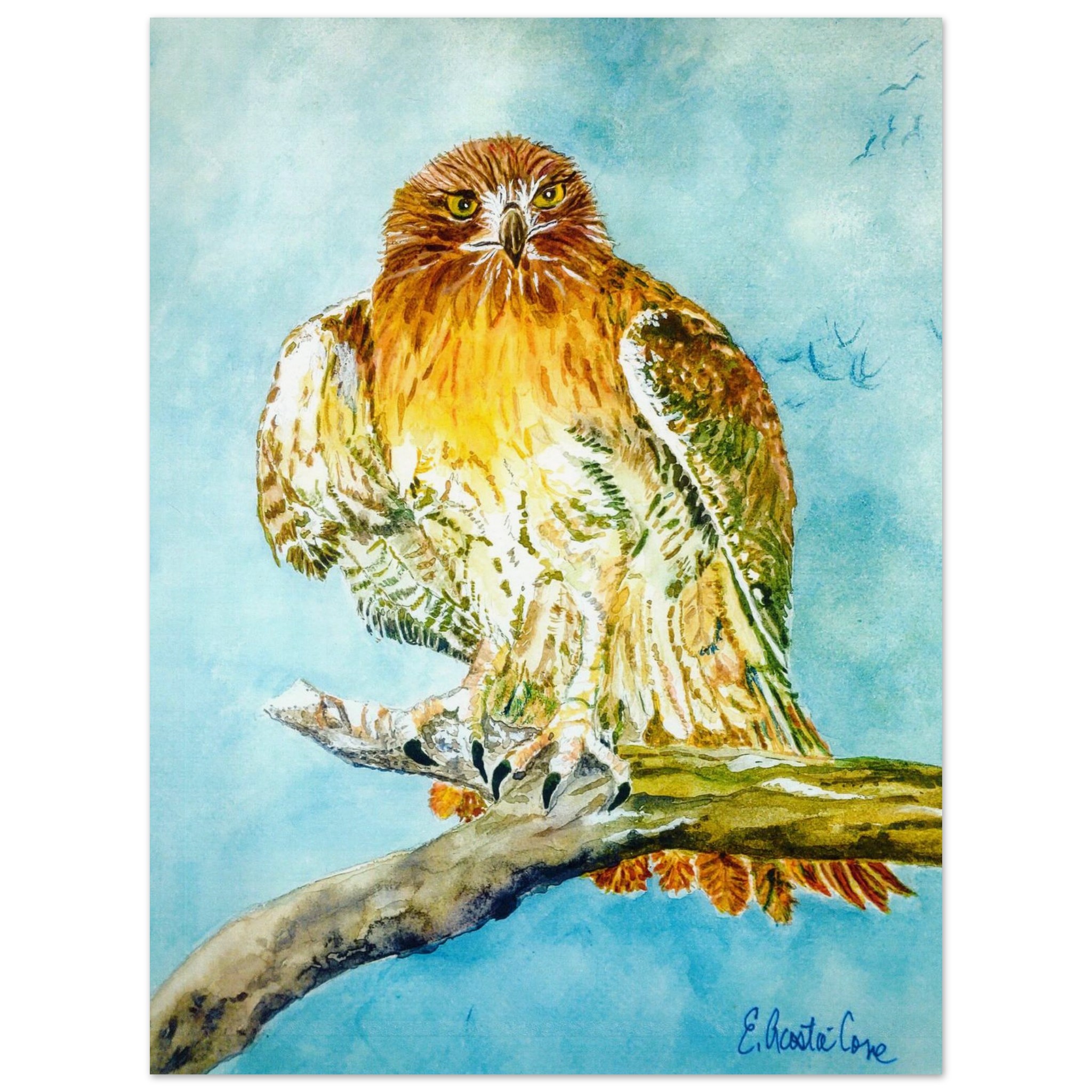 Guanaguau the Red-Tailed Hawk - Watercolor Poster | Museum-Quality Art Print on Premium Paper